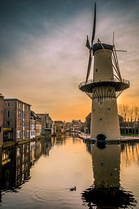 Mühle Camel in Schiedam