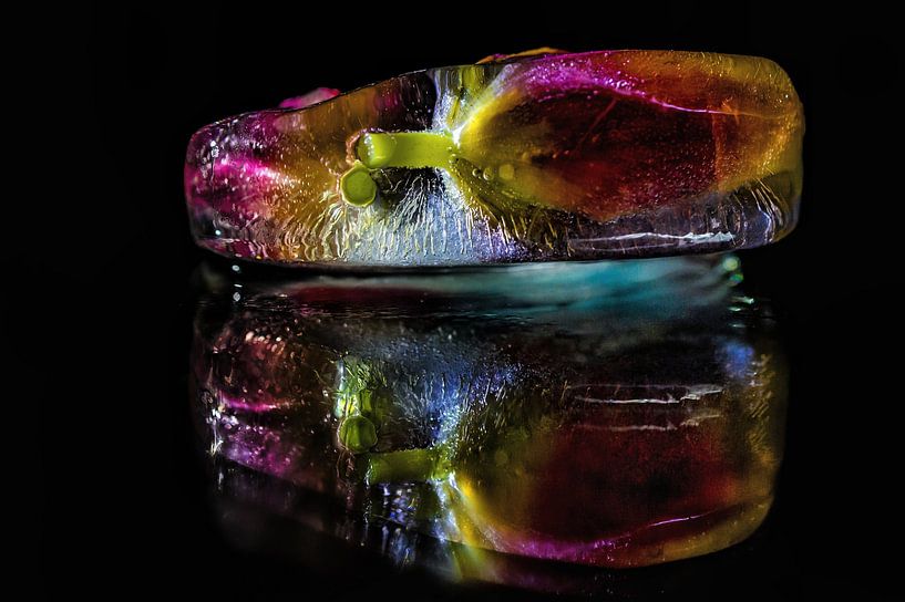 Fleurs gelées par Loes van Dijk