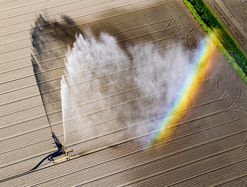 Machine d'irrigation à pivot équipée d'un canon pulvérisant de l'eau sur Sjoerd van der Wal Photographie