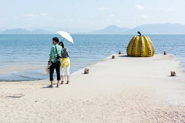 Pompoen aan zee van Marijn Kuijper