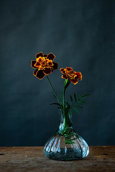 Foto print | oranje rode en gele  bloemen | modern | botanisch | fotografie van Jenneke Boeijink