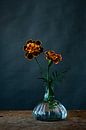 Foto print | oranje rode en gele  bloemen | modern | botanisch | fotografie van Jenneke Boeijink thumbnail
