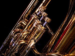 Tuba-Ventile