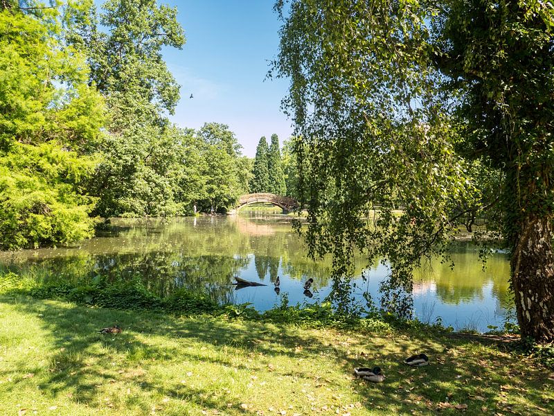 Meer in het Johannapark in Leipzig in Saksen van Animaflora PicsStock
