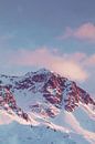 Roze bergen van Olivier Peeters thumbnail