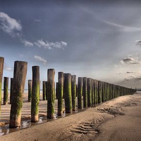Strand von Fer Hendriks