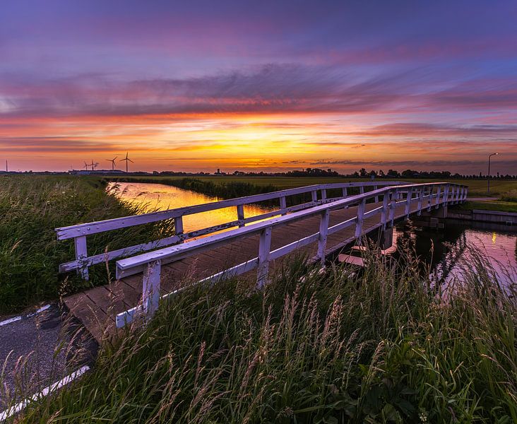 View across the polder at akersloot by peterheinspictures
