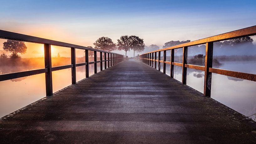 De brug par Göran Dekker