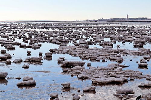Waddenzee vol ijs bij Terschelling