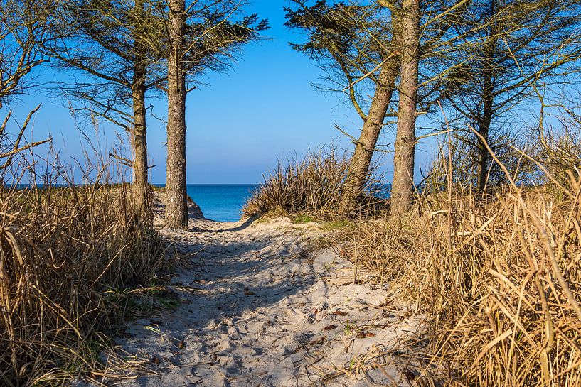 Strand aan de kust van de Oostzee bij Graal Müritz van Rico Ködder
