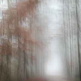 Mist in het bos van Ingrid Van Damme fotografie