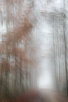 Mist in het bos van Ingrid Van Damme fotografie