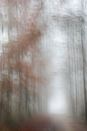 Mist in het bos