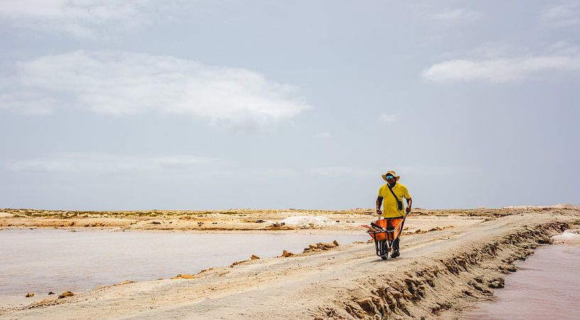 Porträt eines afrikanischen Arbeiters auf den Salzwiesen von Sal Cape Verde von Benjamien t'Kindt