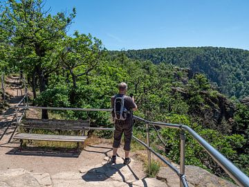 Wandern im Nationalpark Harz in Deutschland von Animaflora PicsStock