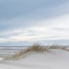 Les dunes nous offrent une protection contre la mer. par Sigrid Westerbaan