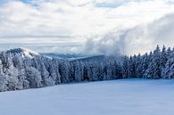 Winter Wonderland Thüringer Woud bij Schneekopf van Oliver Hlavaty thumbnail