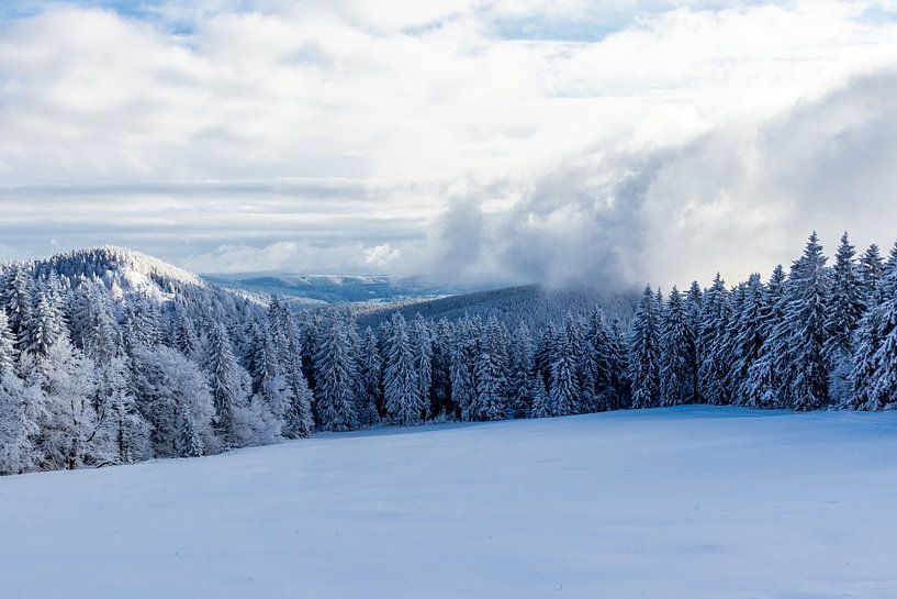 Winter Wonderland Thüringer Woud bij Schneekopf van Oliver Hlavaty