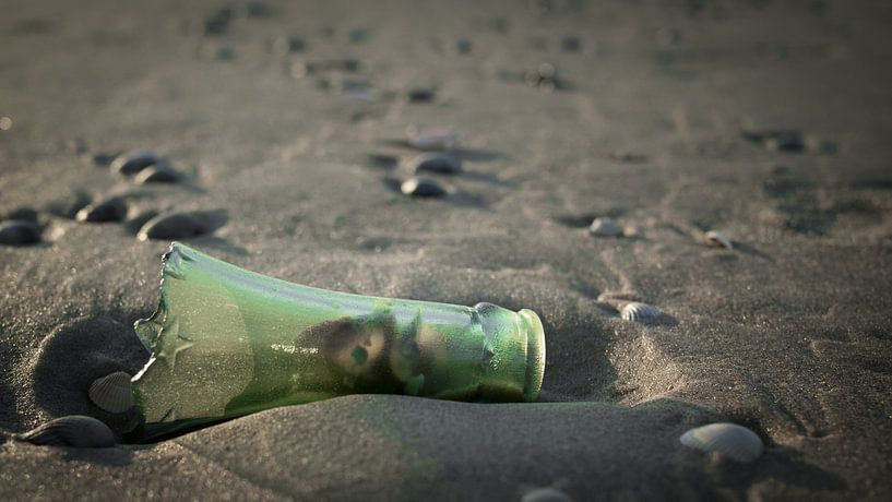 Message in a bottle van Lex Schulte