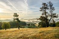 Vulkaneifel, Deutschland von Alexander Ludwig Miniaturansicht