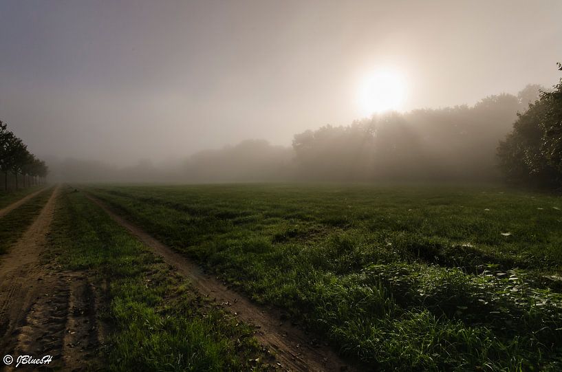 Vroege ochtend van Jan Beukema