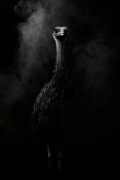 Struisvogel van Poster Art Shop
