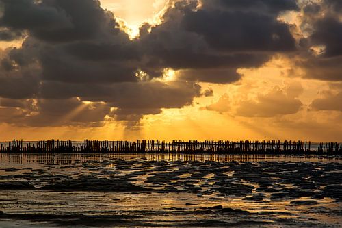 Waddenzee