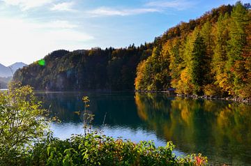 Herfstkleurige bomen aan de oever van een Beiers meer van LuCreator