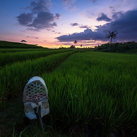 Kleurrijke Rijstvelden Canggu Bali van Rudolfo Dalamicio