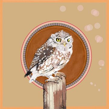 Owl - Dreamer