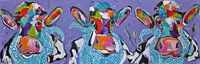 - Three cows feasting