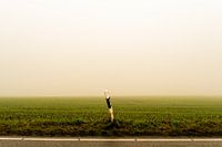 fog