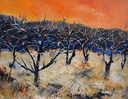 Appelbomen in de winter