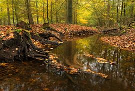 Leuvenumse Beek in herfstkleuren van Raoul Baart