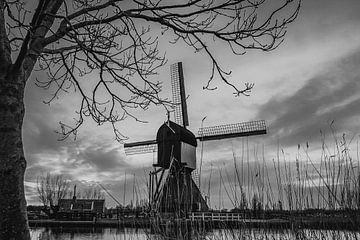 herfst op de Kinderdijk