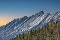 Jasper Park, Rocky Mountains