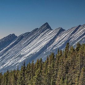 Jasper Park, Rocky Mountains by Marco Linssen