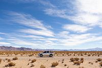 Desert Traveller