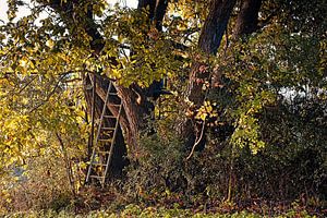 "Hochsitz" von Rob Boon