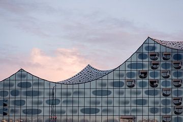 Geschwungenes Dach der Elbphilharmonie von Stephan Schulz