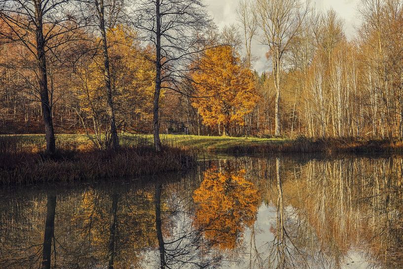 Étang forestier automnal près d'Eigeltingen dans le Hegau - Landkreis Konstanz par BlattArt - Christine Horn