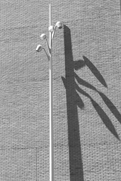 Shadow by Marcel Boelens