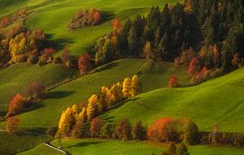 Bezaubernde italienische Landschaften von Olga Ilina