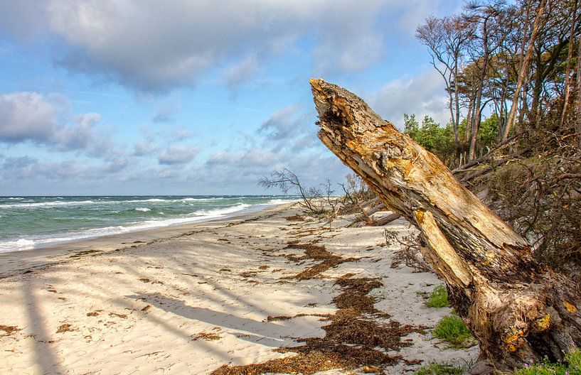 Wilder Strand von Holger Felix