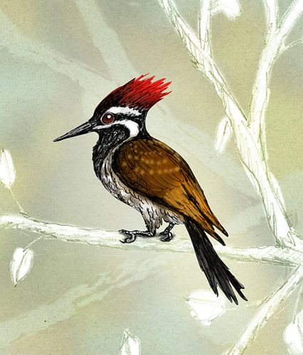 Kleine goudrugspecht