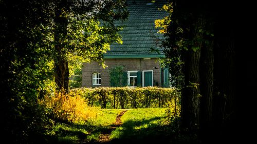 Verborgen boerderij tussen de bomen van Freek Wolsink