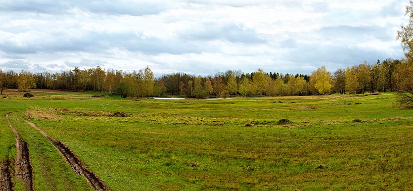 Naturpark Blockheide im Waldviertel von Leopold Brix