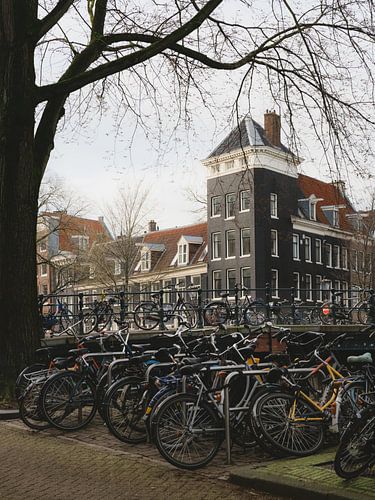 Inner city Amsterdam by Lorena Cirstea