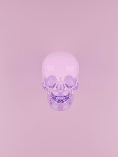 Crâne de verre violet sur Tom IJmker