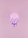 Glazen paarse schedel van Tom IJmker thumbnail